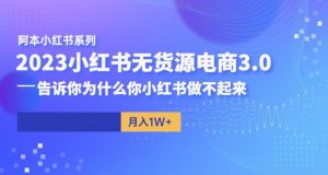 阿本小红书无货源电商3.0,告诉你为什么你小红书做不起来-开心分享网
