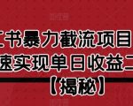 小红书暴力截流项目，新手快速实现单日收益二三百【仅揭秘】