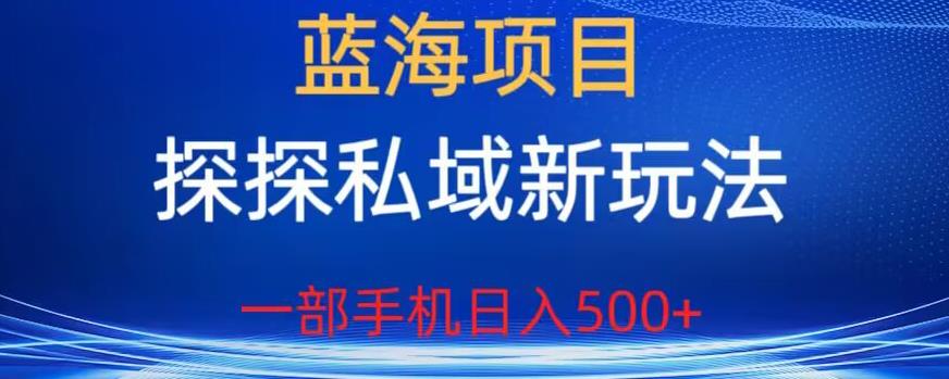 蓝海项目，探探私域新玩法，一部手机日入500+很轻松【揭秘】-开心分享网