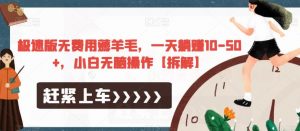 极速版无费用薅羊毛，一天躺赚10-50+，小白无脑操作【拆解】-开心分享网