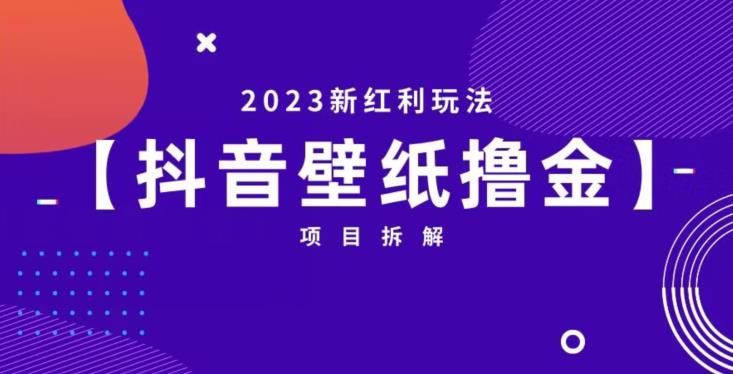 抖音壁纸小程序创作者撸金项目，2023新红利玩法【项目拆解】-开心分享网