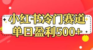 小红书冷门赛道，单日盈利500+【揭秘】-开心分享网
