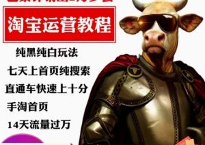 猫老师·淘系算法逆向解密,纯黑纯白玩法,七天上首页纯搜索,手淘首页14天流量过万-开心分享网