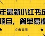 2023年最新小红书成人电商项目，简单易操作【详细教程】【揭秘】