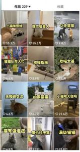 拆解:抖音盘点类中视频变现副业项目,视频版一条龙大解析分享给你-开心分享网