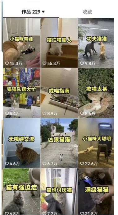 拆解抖音盘点类中视频变现副业项目,视频版一条龙大解析分享给你【视频课程】-开心分享网