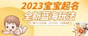 2023宝宝起名全新蓝海玩法,冷门暴力小白实操,日入1000+(全套教程)【揭秘】-开心分享网