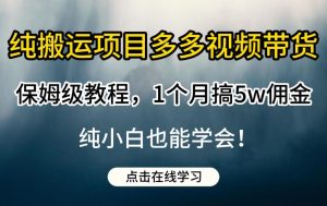 纯搬运项目多多视频带货保姆级教程,1个月搞5w佣金,纯小白也能学会【揭秘】-开心分享网