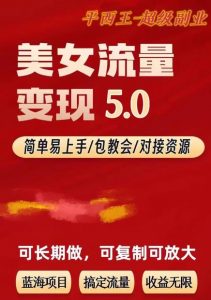 TK美女短视频变现项目无限复制(升级版),全网最高性价比项目【揭秘】-开心分享网