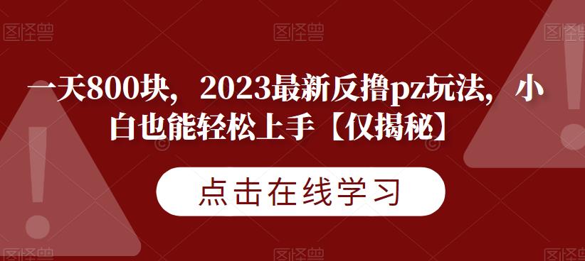 一天800块,2023最新反撸pz玩法,小白也能轻松上手【仅揭秘】-开心分享网