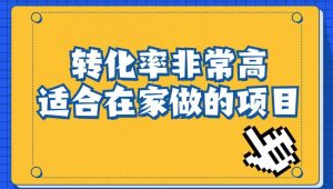 小红书虚拟电商项目:从小白到精英(视频课程+交付手册)-开心分享网