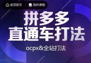 互力·拼多多直通车打法,ocpx&全站打法-开心分享网