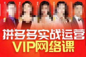 推易拼多多VIP全套直播课程,拼多多店铺实操玩法+实战玩法选款内功+直通车高阶等-开心分享网