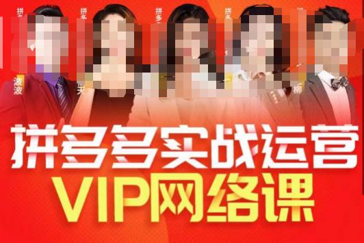 推易拼多多VIP全套直播课程,拼多多店铺实操玩法+实战玩法选款内功+直通车高阶等-开心分享网