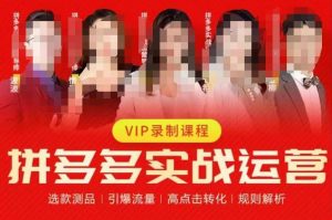 2023推易拼多多实战运营,选款测品、引爆流量、高点击转化、规则解析-开心分享网