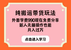 纯搬运带货玩法，外面学费990现在免费分享，新人无脑操作也能月入过万【揭秘】-开心分享网