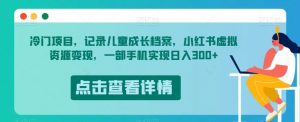 冷门项目，记录儿童成长档案，小红书虚拟资源变现，一部手机实现日入300+【揭秘】-开心分享网