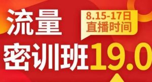 秋秋线上流量密训班19.0,打通流量关卡,线上也能实战流量破局-开心分享网