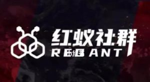 社群运营:红蚁社群【48节落地系统课程+2000人高端社群】-开心分享网