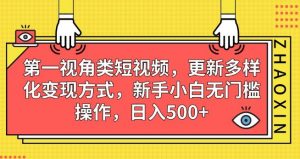 第一视角类短视频,更新多样化变现方式,新手小白无门槛操作,日入500+【揭秘】-开心分享网