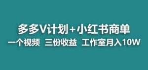 【蓝海项目】多多v计划+小红书商单一个视频三份收益工作室月入10w-开心分享网