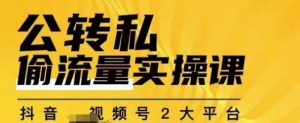 群响公转私偷流量实操课,致力于拥有更多自持,持续,稳定,精准的私域流量!-开心分享网