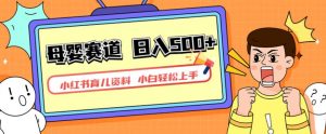 小红书育儿资料，一部手机可操作，多种变现方式，日入500+，私域变现，长期可持续项目【揭秘】-开心分享网