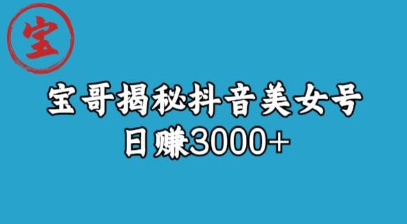 宝哥揭秘抖音美女号玩法,日赚3000+【揭秘】-开心分享网