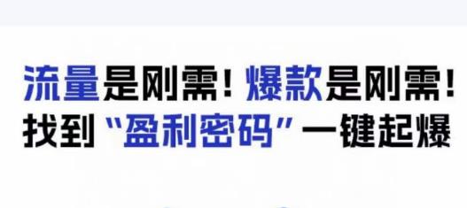 电商盈利精品课:6大盈利密码让产品更好卖,流量是刚需!爆款是刚需!找到”盈利密码”一键起爆-开心分享网
