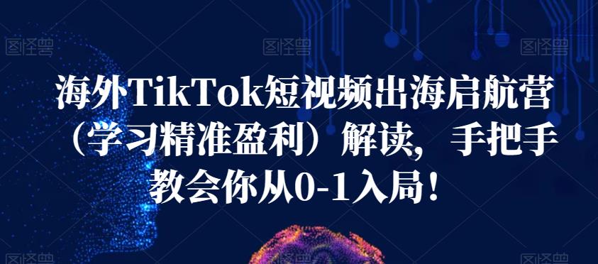 海外TikTok短视频出海启航营(学习精准盈利)解读,手把手教会你从0-1入局!-开心分享网