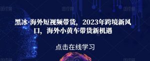 黑冰·海外短视频带货,2023年跨境新风口,海外小黄车带货新机遇-开心分享网