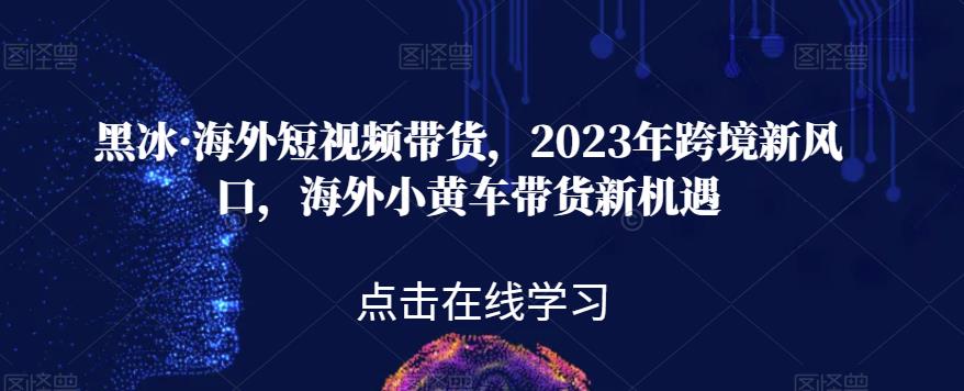 黑冰·海外短视频带货,2023年跨境新风口,海外小黄车带货新机遇-开心分享网