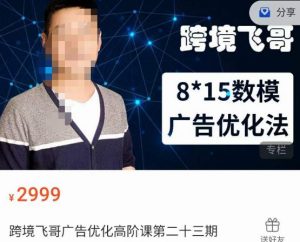 跨境飞哥·广告优化高阶课第二十三期,8*15数模广告优化法,用数据驱动决策-开心分享网