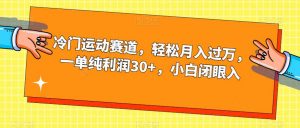 冷门运动赛道,轻松月入过万,一单纯利润30+,小白闭眼入【揭秘】-开心分享网
