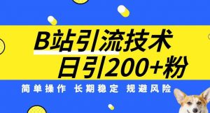 B站引流技术:每天引流200精准粉,简单操作,长期稳定,规避风险-开心分享网