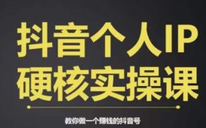 个人IP创富系统实战课,商业定位,流量打造,短视频变现,教你做个赚钱的抖音号-开心分享网