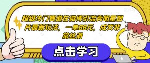 超级冷门赛道在微博引流卖明星图片最新玩法,一单88元,成交非常丝滑【揭秘】-开心分享网