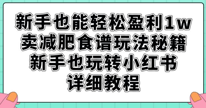新手也能轻松盈利1w，卖减肥食谱玩法秘籍，新手也玩转小红书详细教程【揭秘】-开心分享网