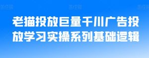 老猫投放巨量千川广告投放学习实操系列基础逻辑-开心分享网
