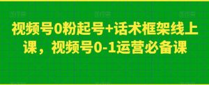 视频号0粉起号+话术框架线上课,视频号0-1运营必备课-开心分享网