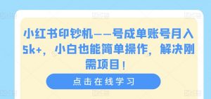 小红书印钞机——号成单账号月入5k+,小白也能简单操作,解决刚需项目【揭秘】-开心分享网