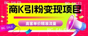 商K引粉变现项目,高客单价精准流量【揭秘】-开心分享网