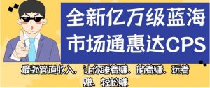 全新亿万级蓝海市场通惠达cps,最强管道收入,让你睡着赚、躺着赚、玩着赚、轻松赚【揭秘】-开心分享网