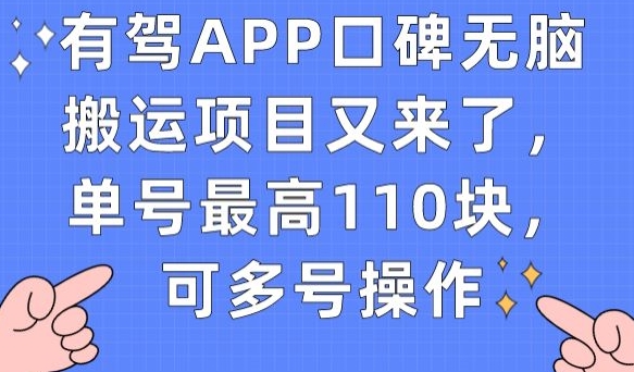 有驾APP口碑无脑搬运项目又来了，单号最高110块，可多号操作-开心分享网
