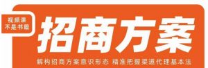 王昕招商方案,解构招商方案意识形态,精准把握渠道代理基本法-开心分享网