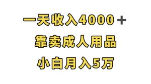 一天收入4000+,靠卖成人用品,小白轻松月入5万【揭秘】-开心分享网