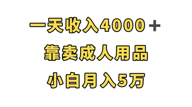 一天收入4000+,靠卖成人用品,小白轻松月入5万【揭秘】-开心分享网