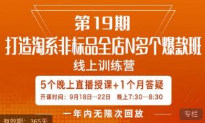 打造淘系非标全店N多个爆款线上课,5天直播课-开心分享网