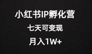 价值2000+的小红书IP孵化营项目,超级大蓝海,七天即可开始变现,稳定月入1W+-开心分享网