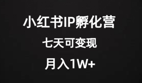 价值2000+的小红书IP孵化营项目,超级大蓝海,七天即可开始变现,稳定月入1W+-开心分享网